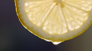 8x4 Behind the Brand